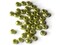 40 12mm Large Hole Pearls Light Green Pearl Beads Round Plastic Pearl Beads